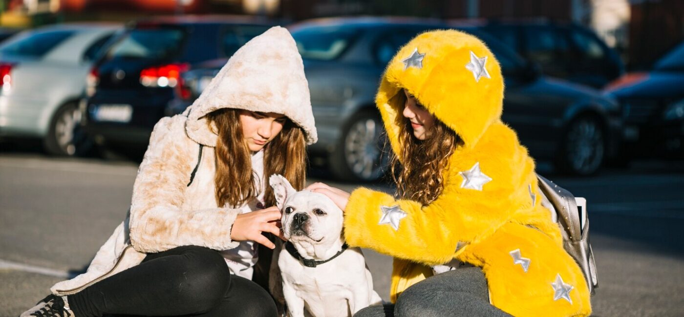 Cold Weather Gear for Dogs