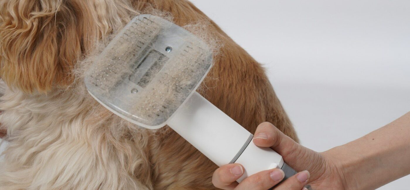 A dog being groomed with a hair dryer